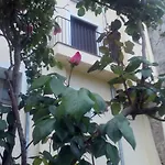 Casa Cardelina Εξοχικό σπίτι *