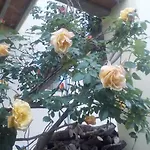 Εξοχικό σπίτι Casa Cardelina *