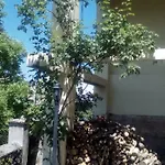 Casa Cardelina Εξοχικό σπίτι Camporrells