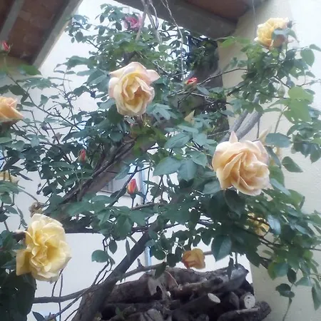 Landsted Casa Cardelina *