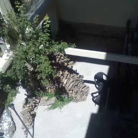 Casa Cardelina 乡村民宿