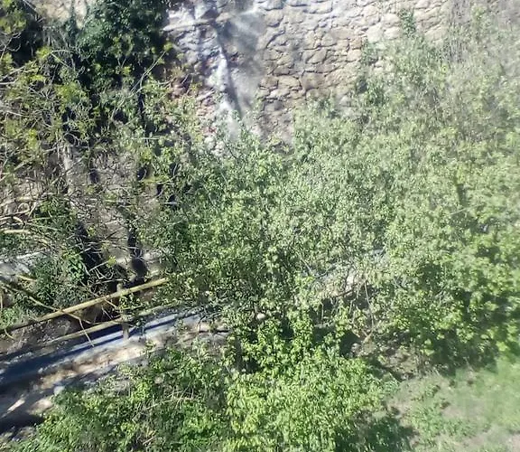 Casa Cardelina Camporrells