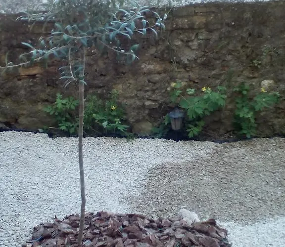 Landsted Casa Cardelina Camporrells